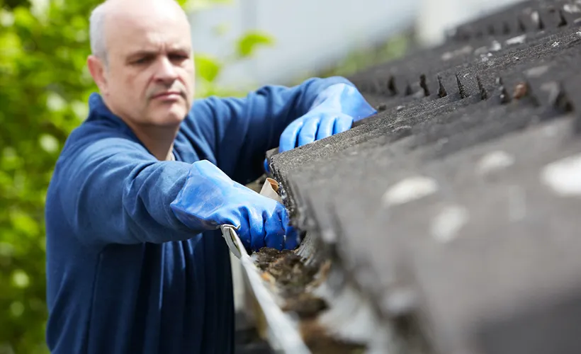 Clean Look Guaranteed 820 x 500