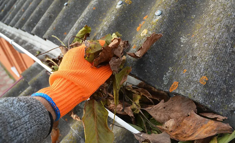 Gentle Pre Rinse Dirt Removal 820 x 500